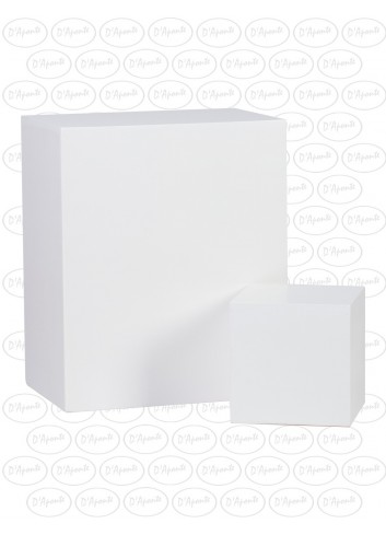 D'APONTE POSING PROPS White Blocks Kit of 2